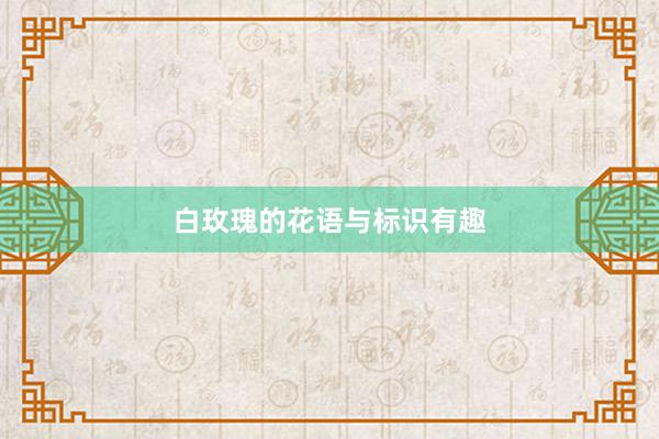 白玫瑰的花语与标识有趣