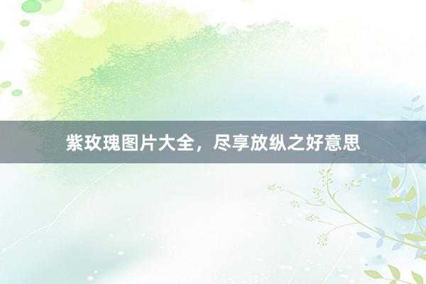 紫玫瑰图片大全，尽享放纵之好意思