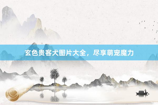 玄色贵客犬图片大全，尽享萌宠魔力